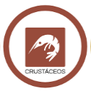 Contiene crustaceos
